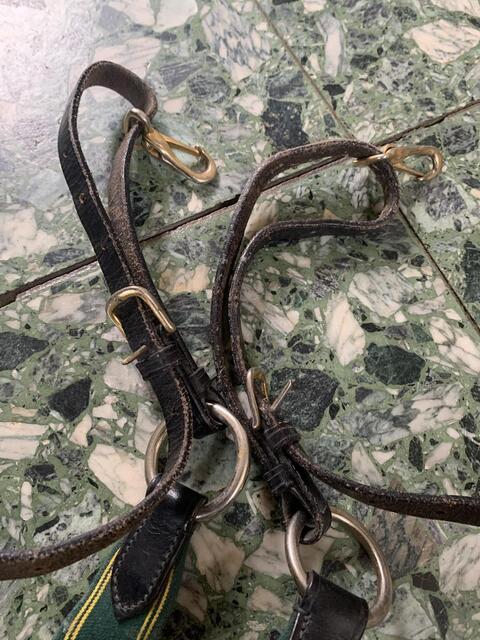 collier de chasse