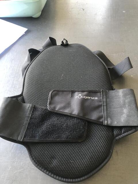 Coque dorsale