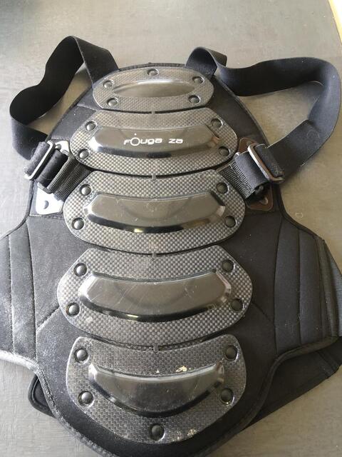 Coque dorsale