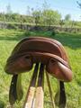 Selle Prestige Golden Star