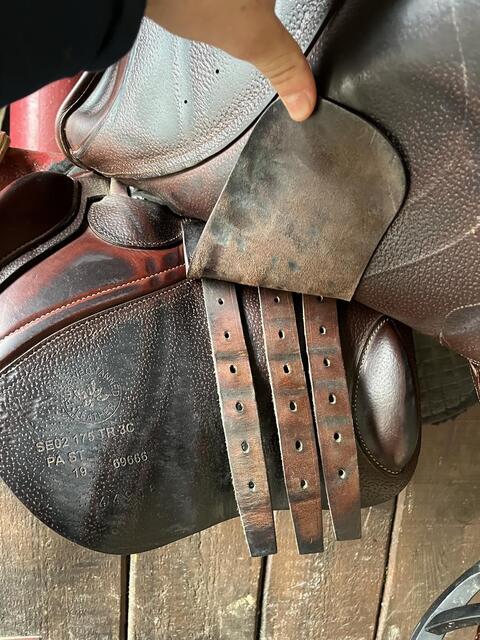 Selle cwd