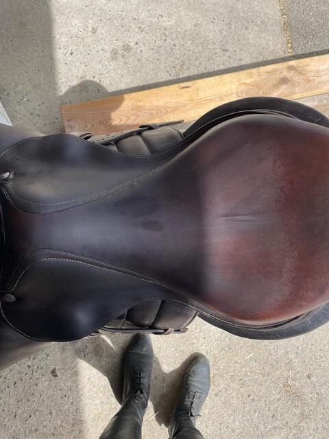 Selle Seoul Forestier