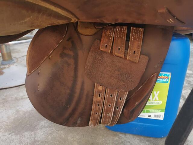 Selle 17,5 havane