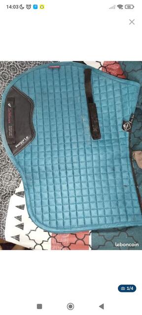 Tapis Lemieux Bleu canard