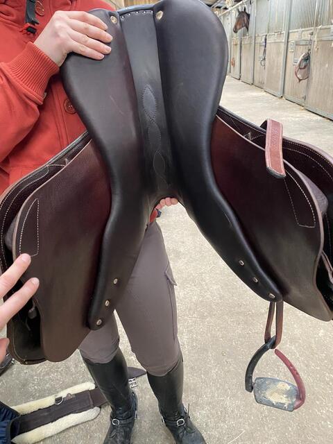 Selle Antarès Évolution