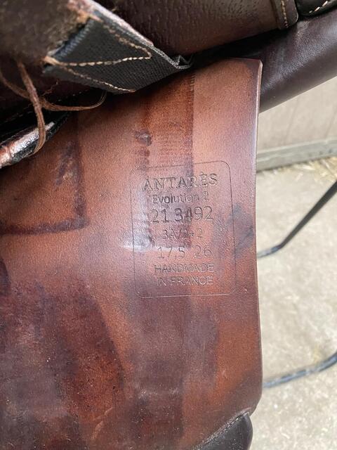 Selle Antarès Évolution