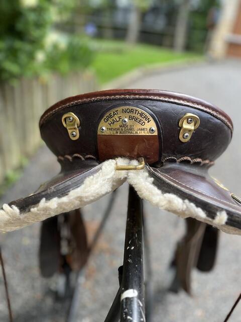 Magnifique selle australienne