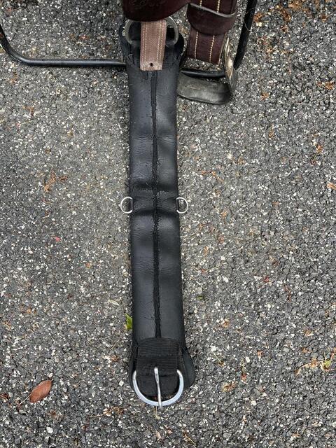 Magnifique selle australienne