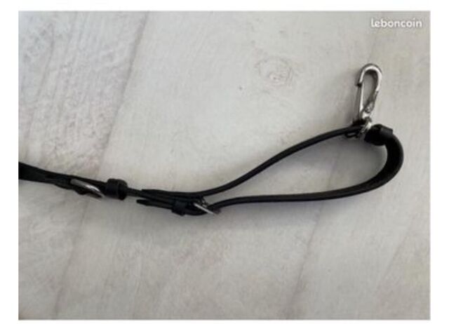 Collier de chasse COB