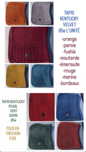 Tapis Kentucky