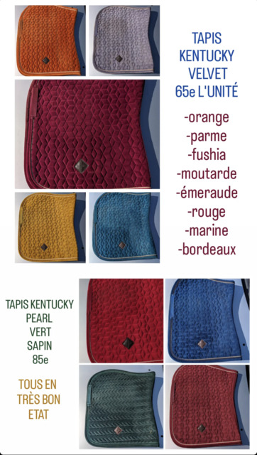 Tapis Kentucky