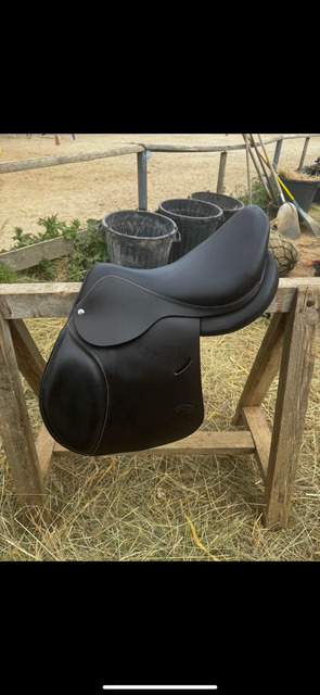 Selle de cheval