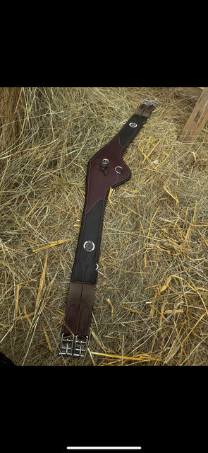 Selle de cheval