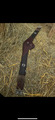Selle de cheval
