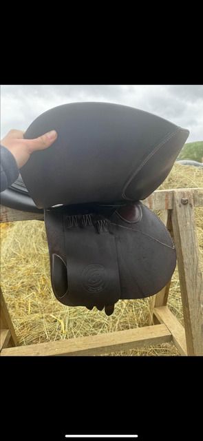 Selle de cheval