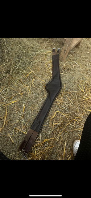 Selle de cheval