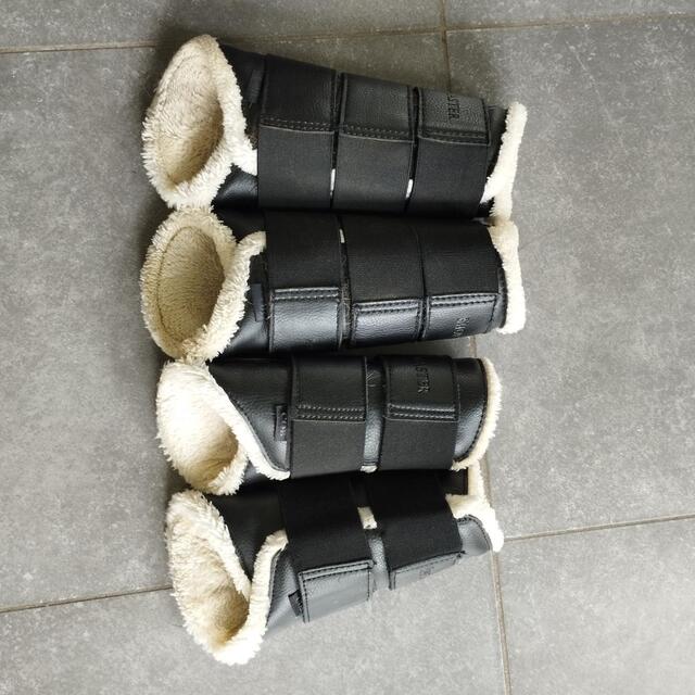 Guêtres de dressage