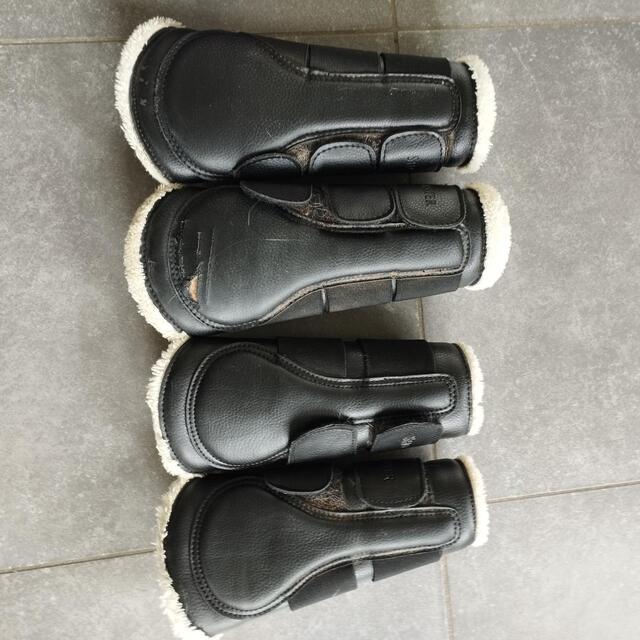 Guêtres de dressage