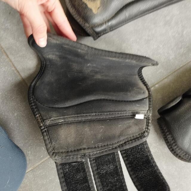 Guêtres de dressage