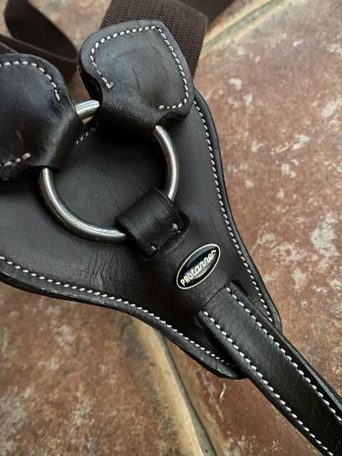 Collier de chasse full havane, NEUF