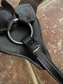 Collier de chasse full havane, NEUF