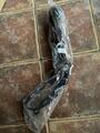Collier de chasse full havane, NEUF