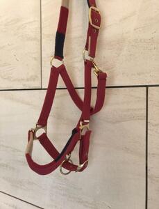 Licol cheval rose