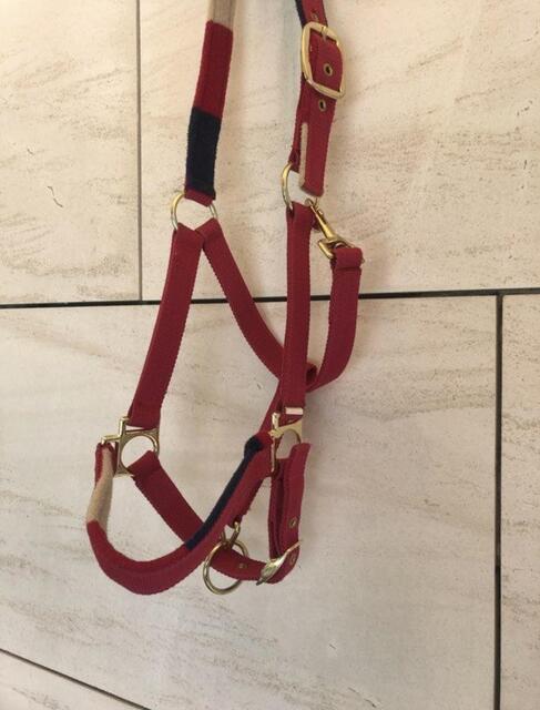 Licol cheval rose