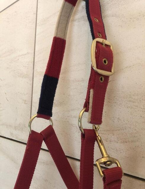 Licol cheval rose