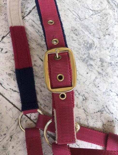 Licol cheval rose