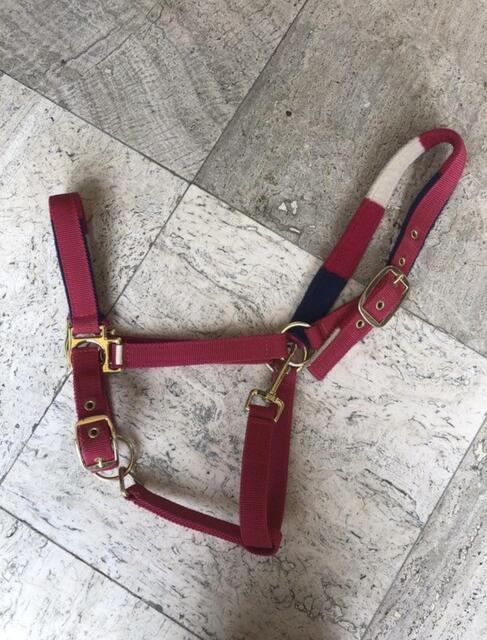 Licol cheval rose