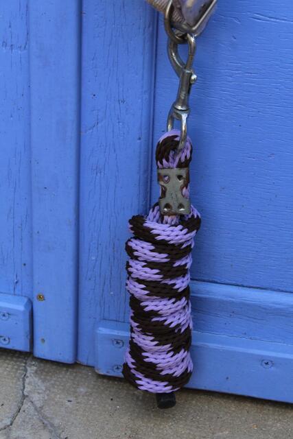licol taille cob