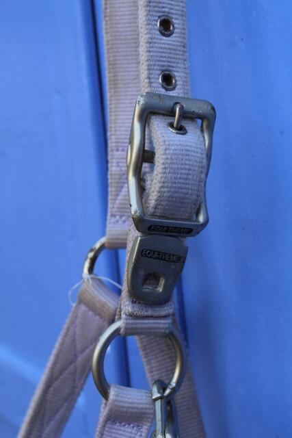 licol taille cob