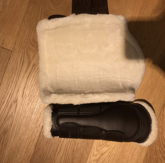 Protection de dressage
