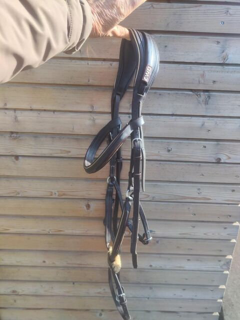 Bridon mademoiselle cwd taille 2