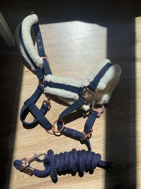 licol et longe bleu marine/rose gold taille poney