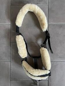 licol en mouton synthétique