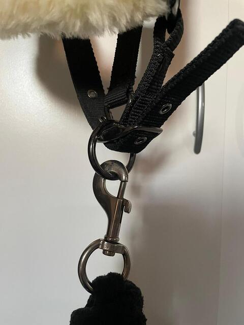 licol en mouton synthétique