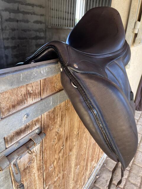 Selle de dressage noire 2022