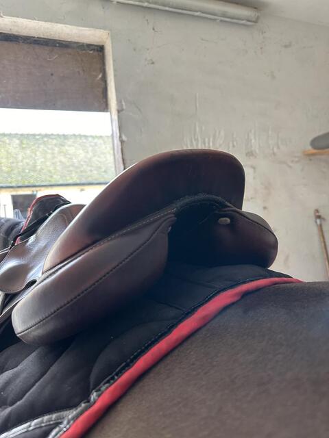 Selle Antares connexion 10/21