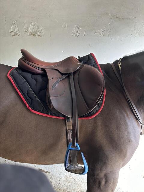 Selle Antares connexion 10/21