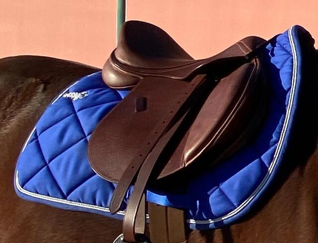 Tapis paddock prem’s écusson bleu roi