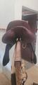 Selle jumping Arion 18"