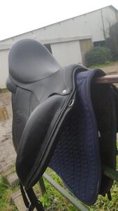 Selle 17