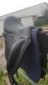Selle 17
