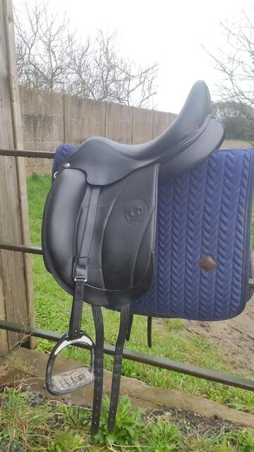 Selle 17