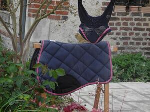 Ensemble equitheme