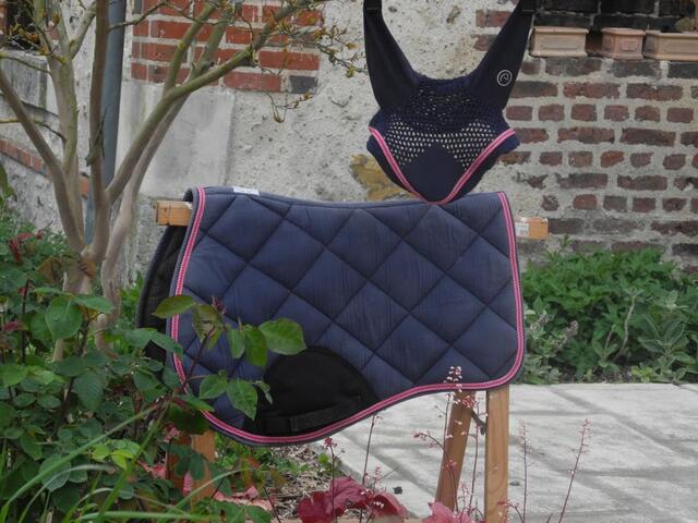 Ensemble equitheme