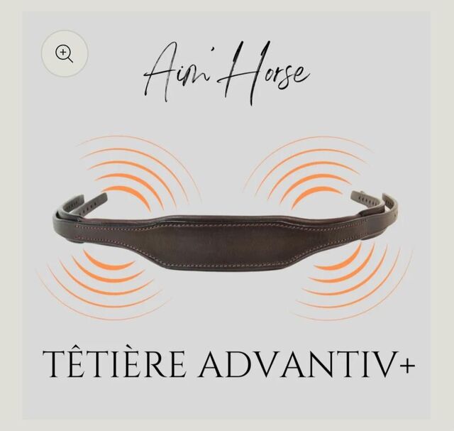Têtière Aim'horse