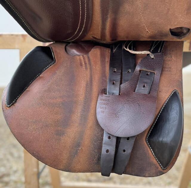 Selle Antarès Evolution